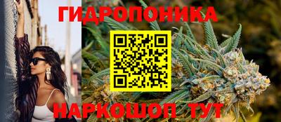 прущие крисы Краснознаменск