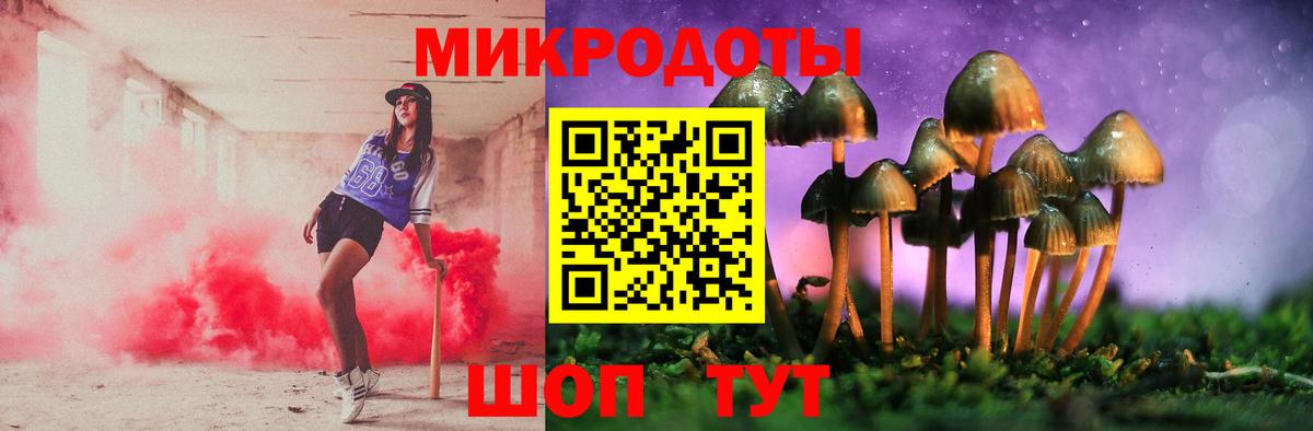 Псилоцибиновые грибы GOLDEN TEACHER  Псилоцибиновые грибы Psilocybine cubensis  дарнет шоп  Ярцево  Вход с VPN 